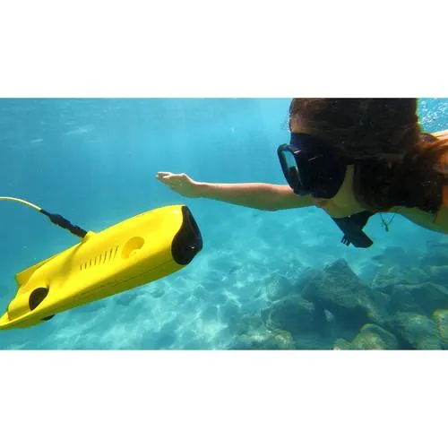 CHASING GLADIUS MINI Underwater