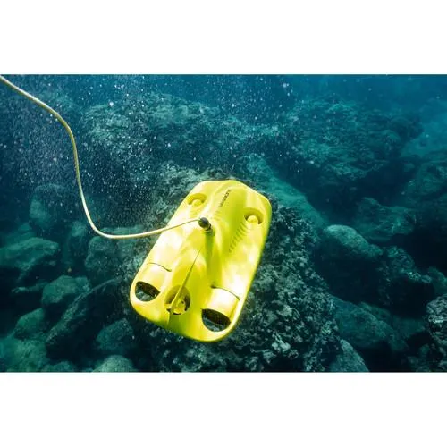 CHASING GLADIUS MINI Underwater