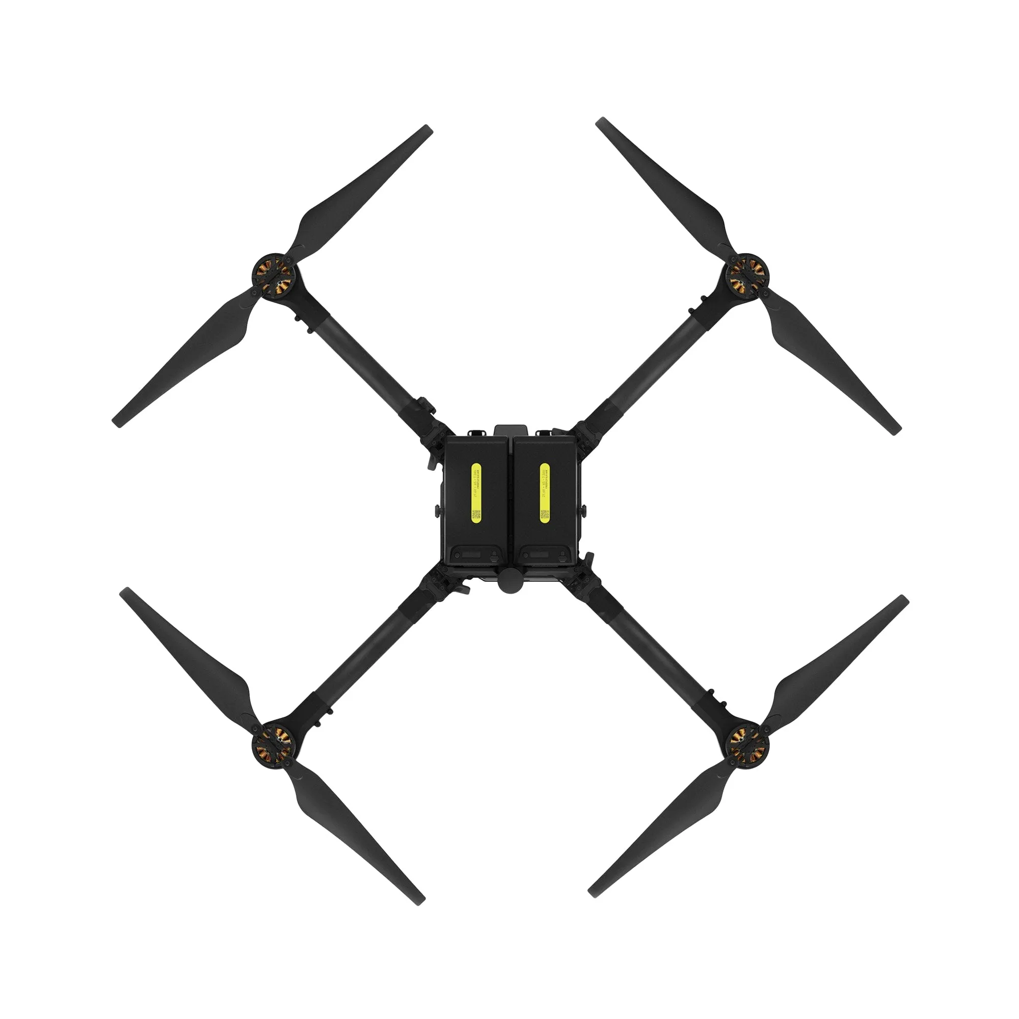 Freefly Astro Prime   Pilot Pro (Doodle)   LR1 Payload