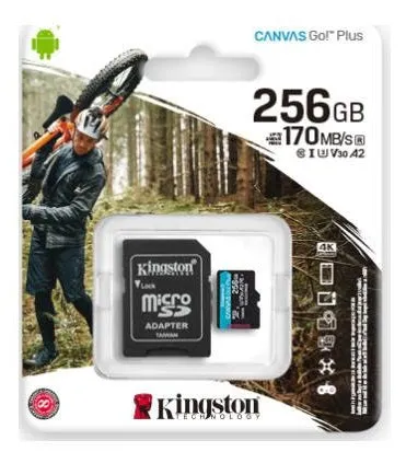 Kingston Canvas Go! Plus microSD Memory Card (5 Capacities)